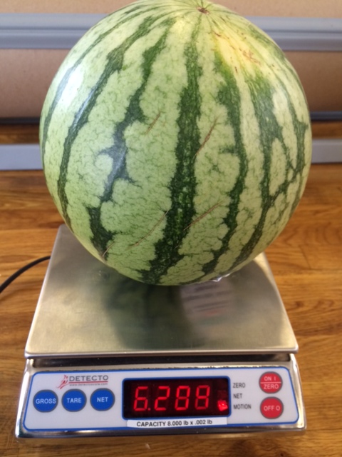 How Can You Tell if a Watermelon is Ripe? | Manhattan ...