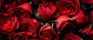 Valentine’s Day, Reimagined