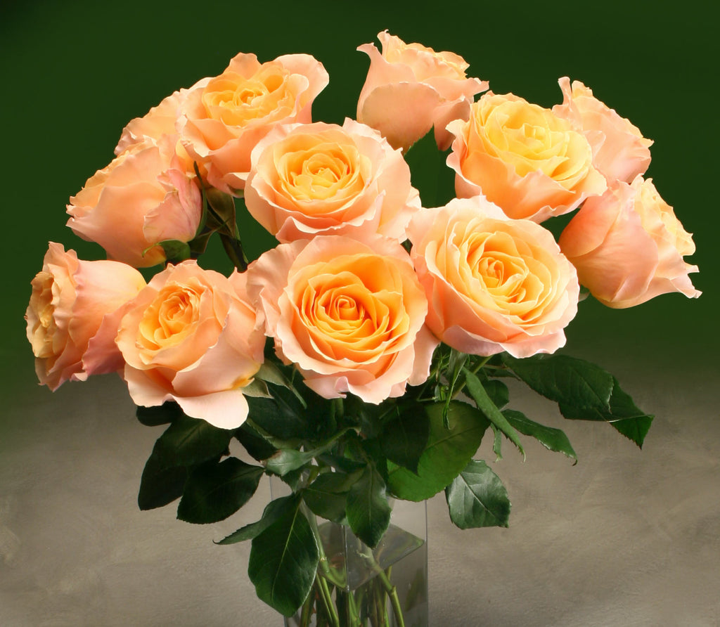 One Dozen Roses – Manhattan Fruitier